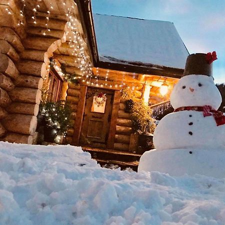 Апартаменти Udany Weekend Устрики-Долішні Екстер'єр фото